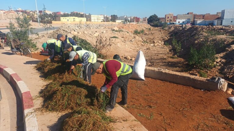 جهود متميزة لعمال الإنعاش الوطني بالعروي في تحسين البيئة والمظهر الجمالي للمدينة