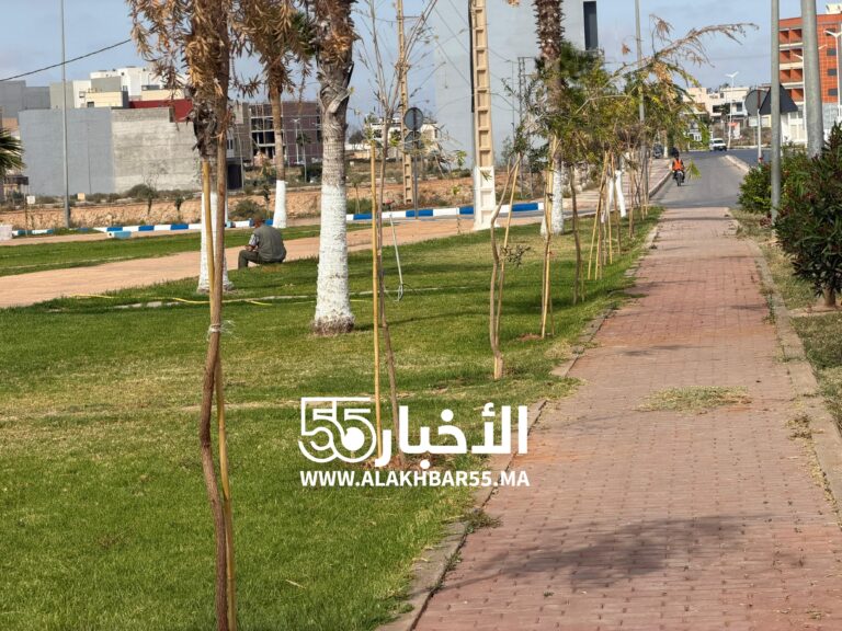 الأخبار55