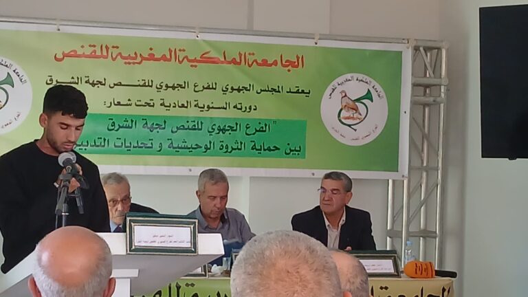 الأخبار55