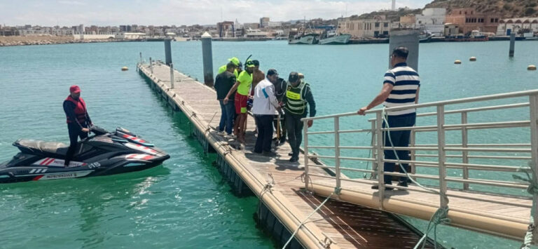الأخبار55