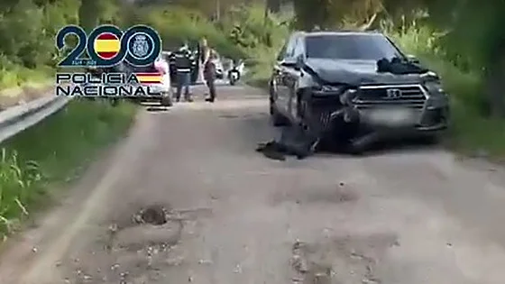 الأخبار55