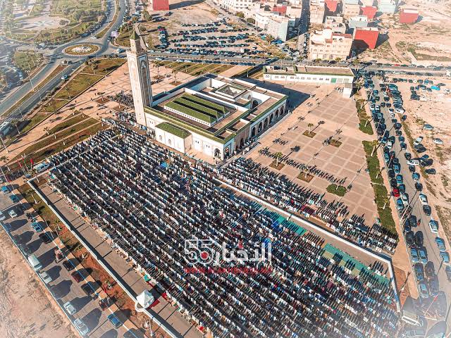 الأخبار55