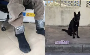 الأخبار55